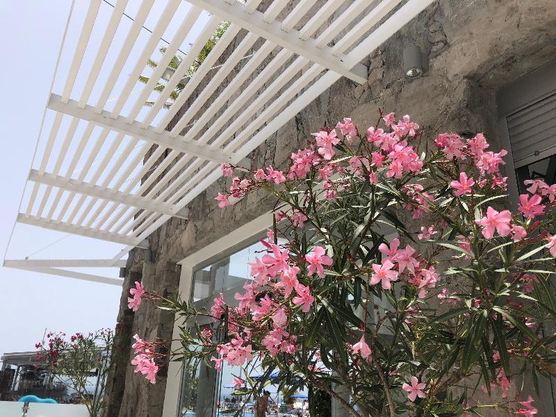 Bahia Blanca Aparthotel Пуерто Рико Екстериор снимка